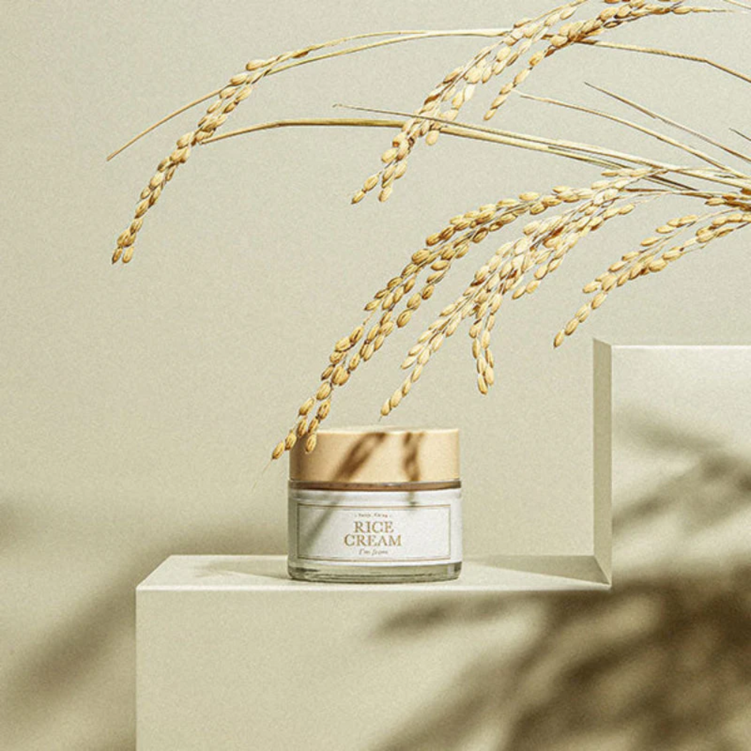 I‘m From Rice Cream