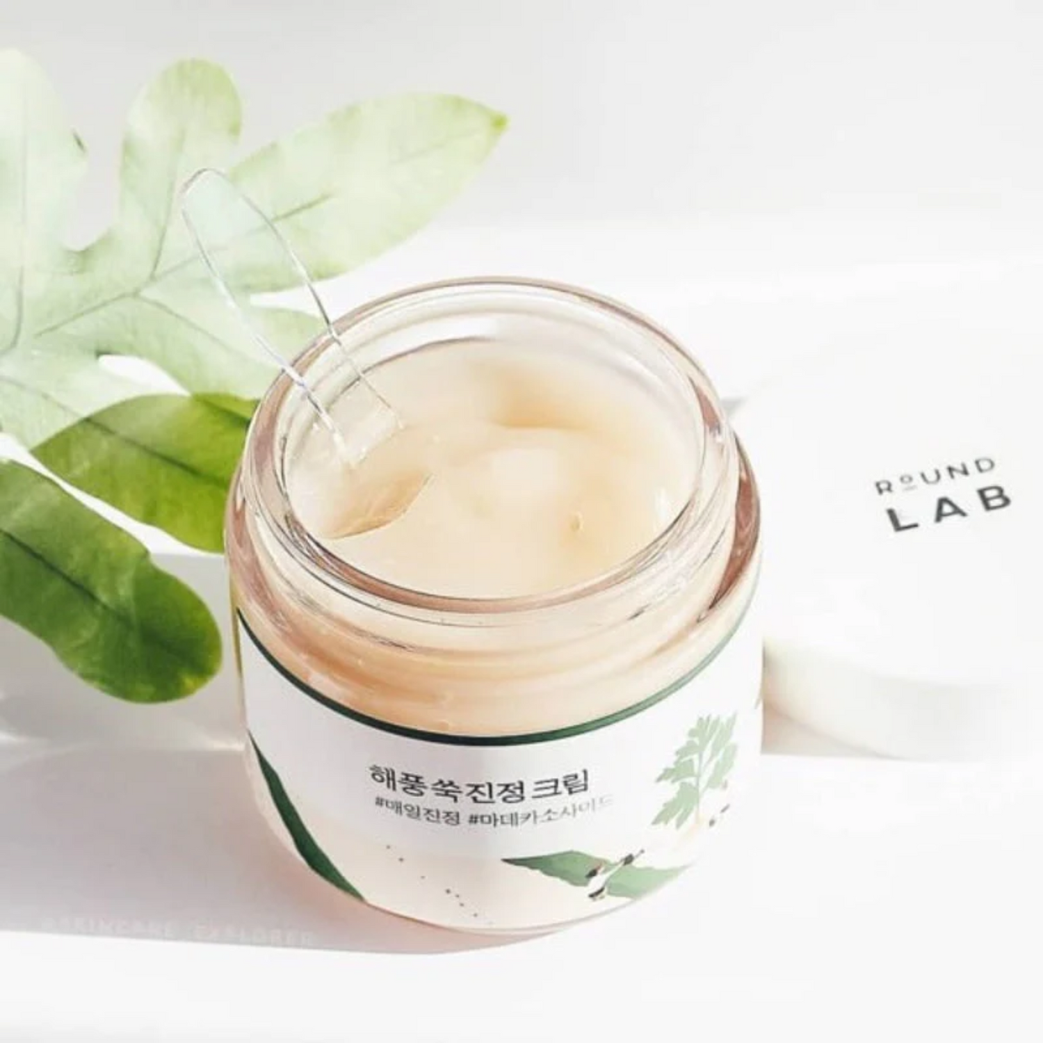 Round Lab Mugwort Calming Cream