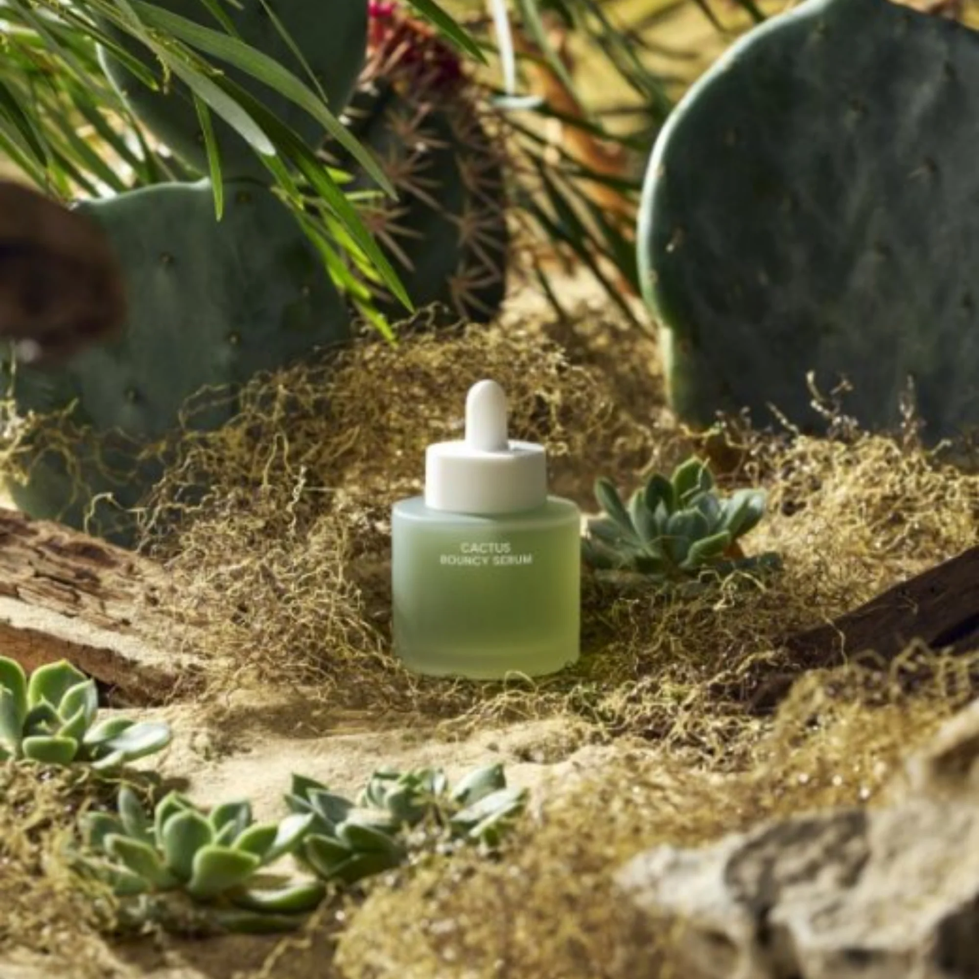 WHAMISA FRESH Cactus Bouncy Serum
