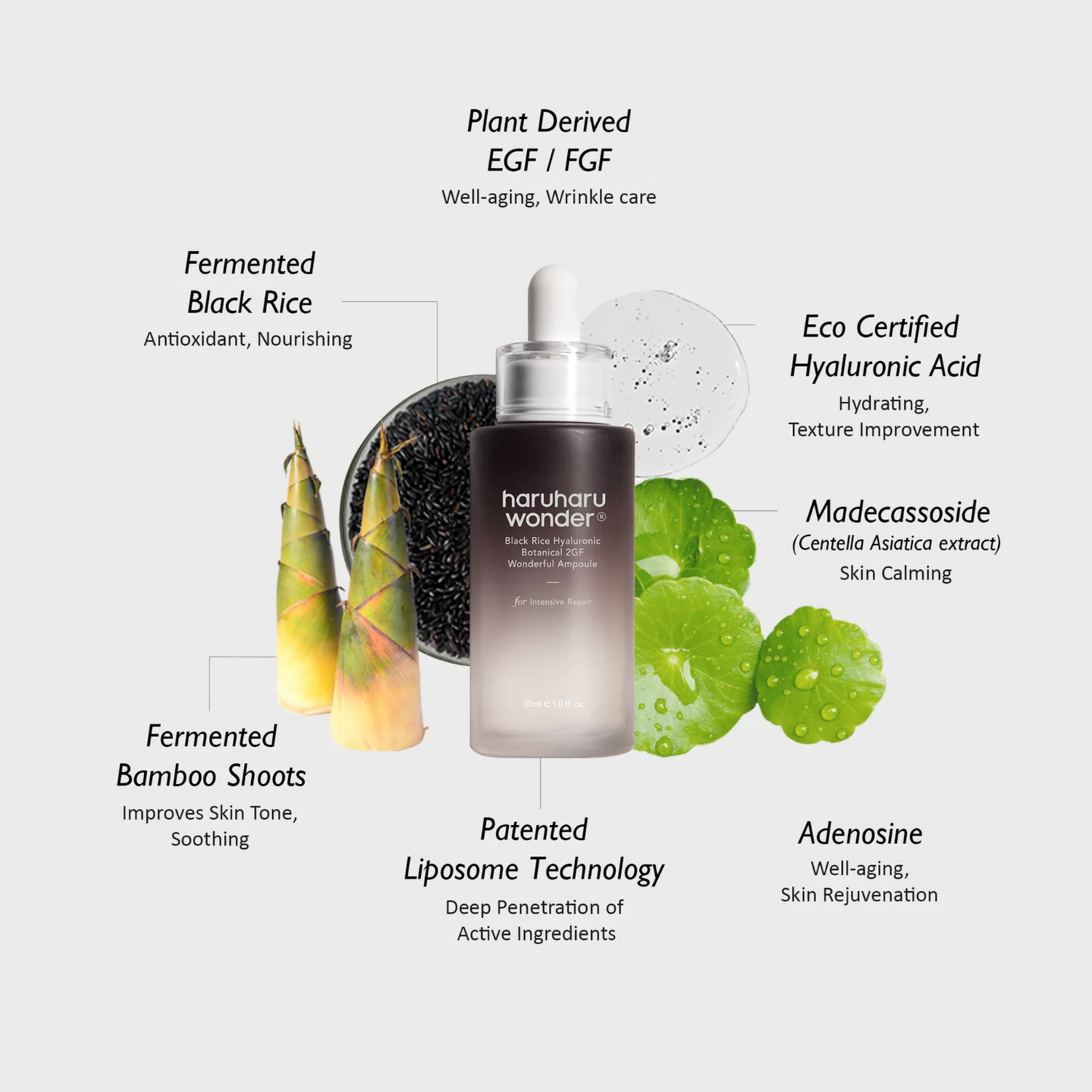 Haruharu Wonder Black Rice Botanical 2GF Wonderful Ampoule