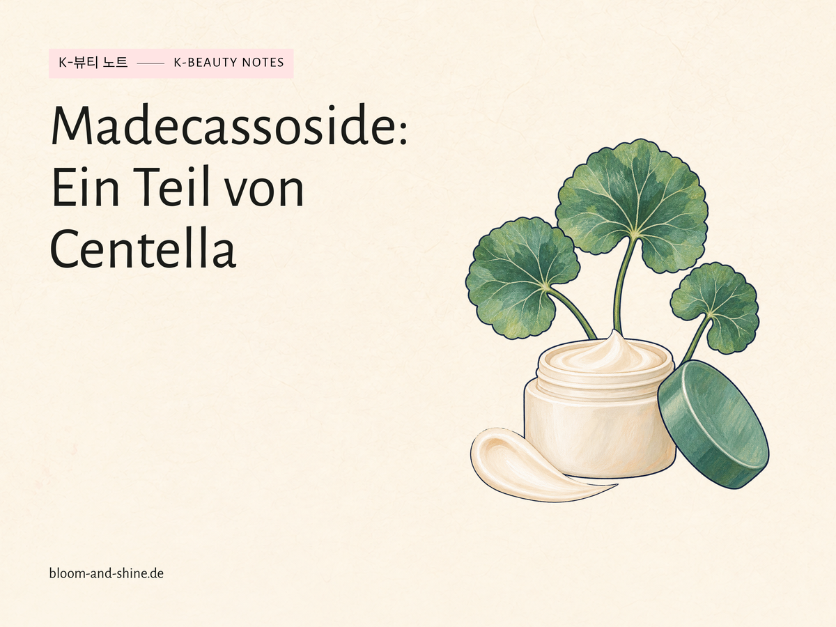 Madecassoside: Was kann der Centella-Bestandteil in deiner Pflege?