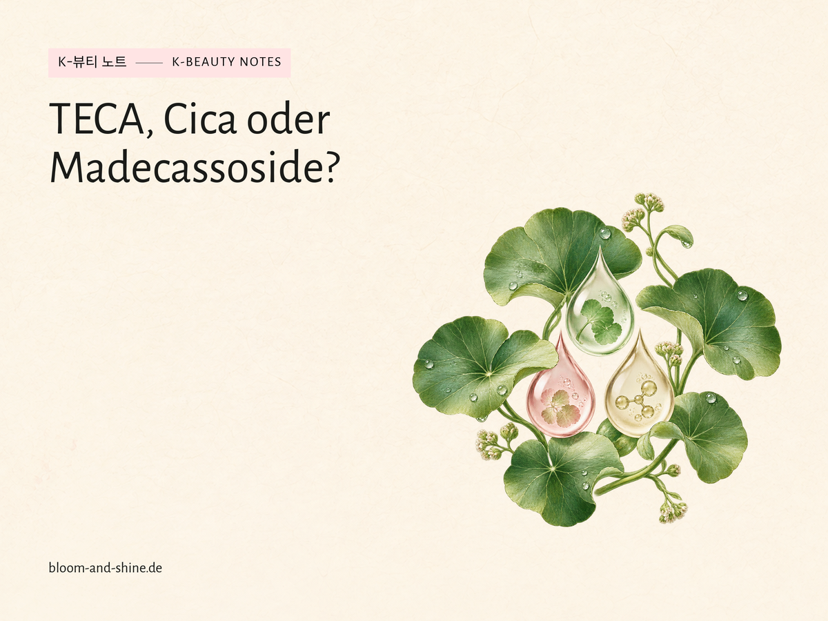 Centella-Blätter mit drei unterschiedlich gefärbten Tropfen als TECA-, Cica- und Madecassoside-Illustration.