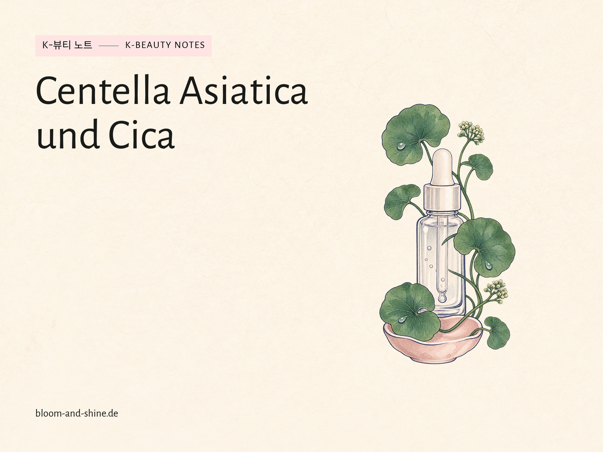 Centella-Serum auswählen: Cica und Ampullen verständlich erklärt