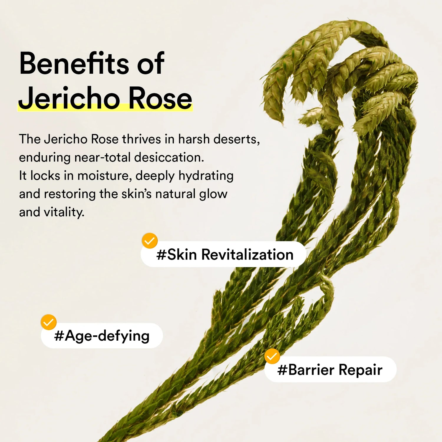 Abib Jericho Rose Mist Serum Glow Spray