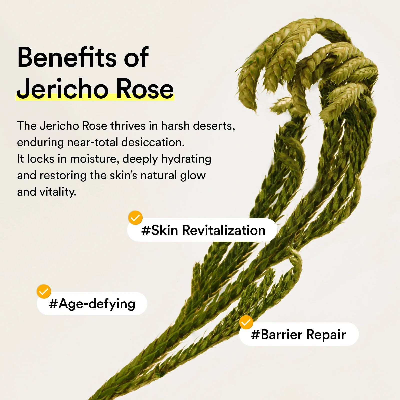 Abib Jericho Rose Mist Serum Glow Spray