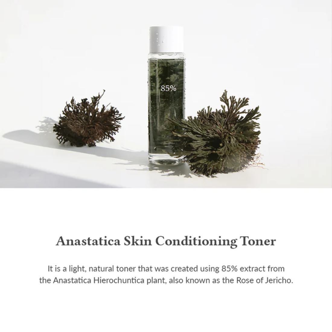 Dr.Althea Anastatica Skin Conditioning Toner