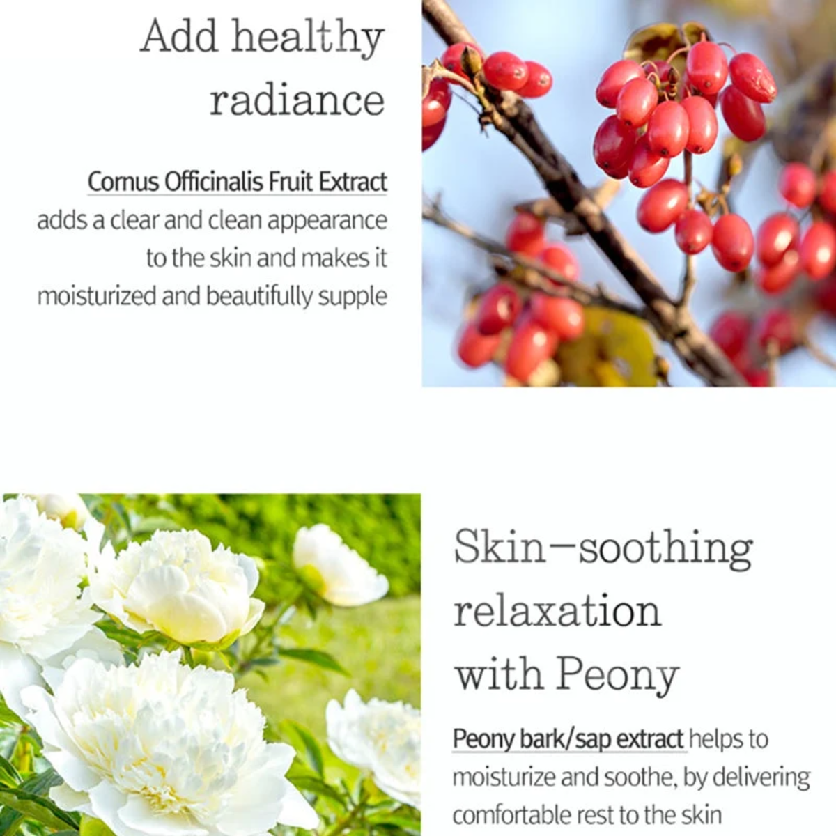 Pyunkang Yul Intensive Repair Cream 50ml