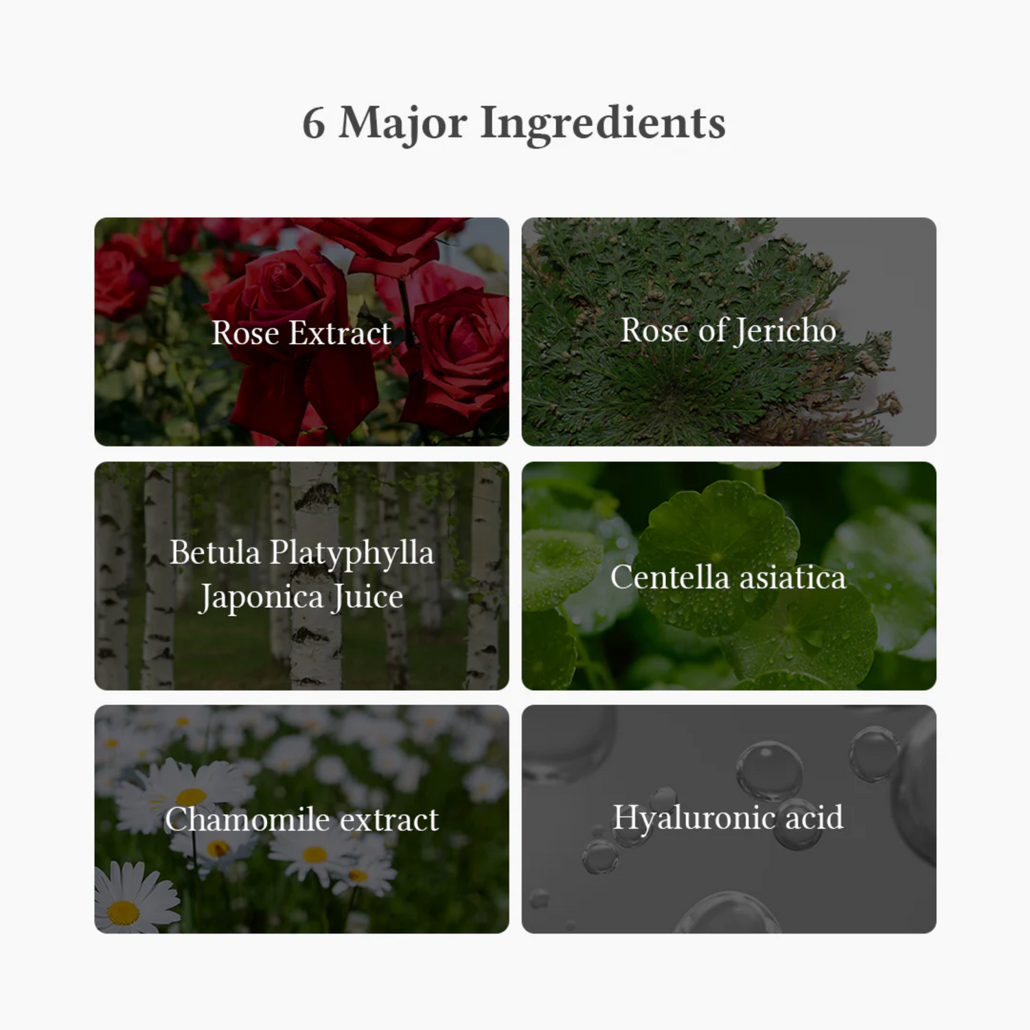 Dr. Althea Oasis Soothing Mask