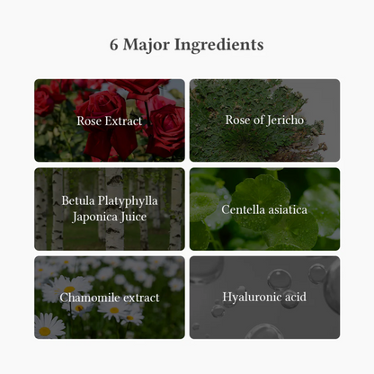 Dr. Althea Oasis Soothing Mask