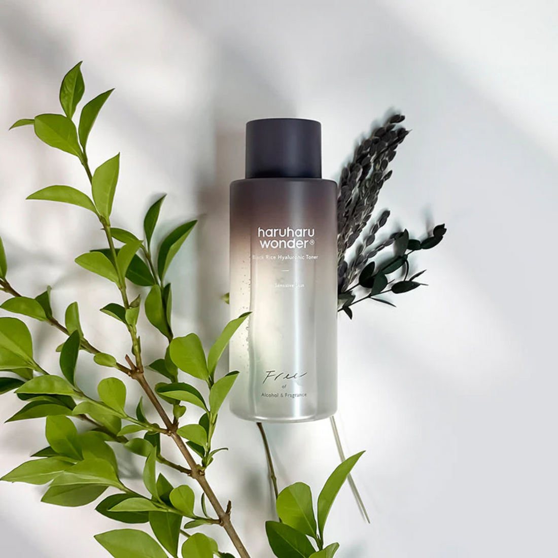 HaruHaru Wonder Black Rice Hyaluronic Toner Fragrance Free