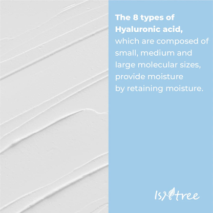 Isntree Hyaloronic Acid low-PH Cleansing Foam