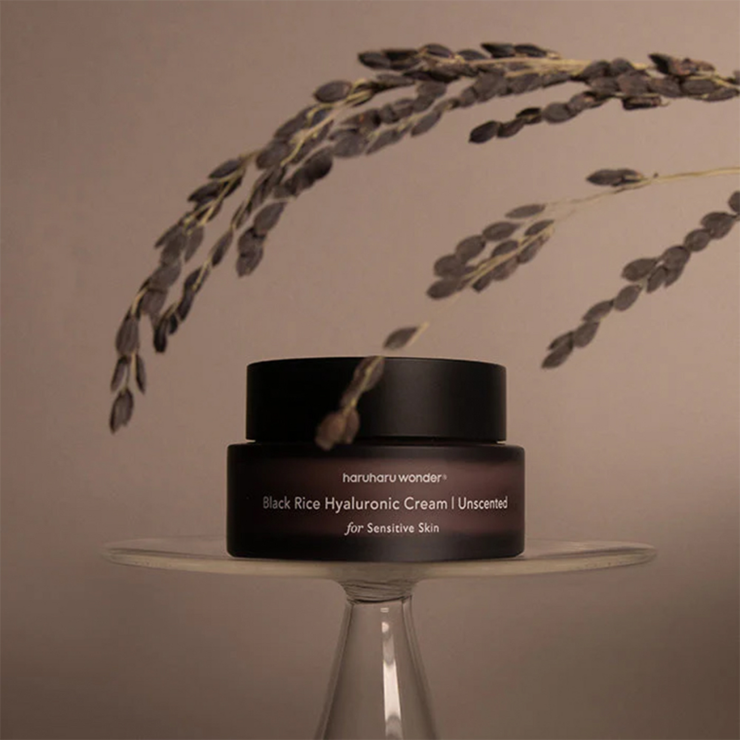 HaruHaru Wonder Black Rice 10 Hyaluronic Cream Unscented 50ml
