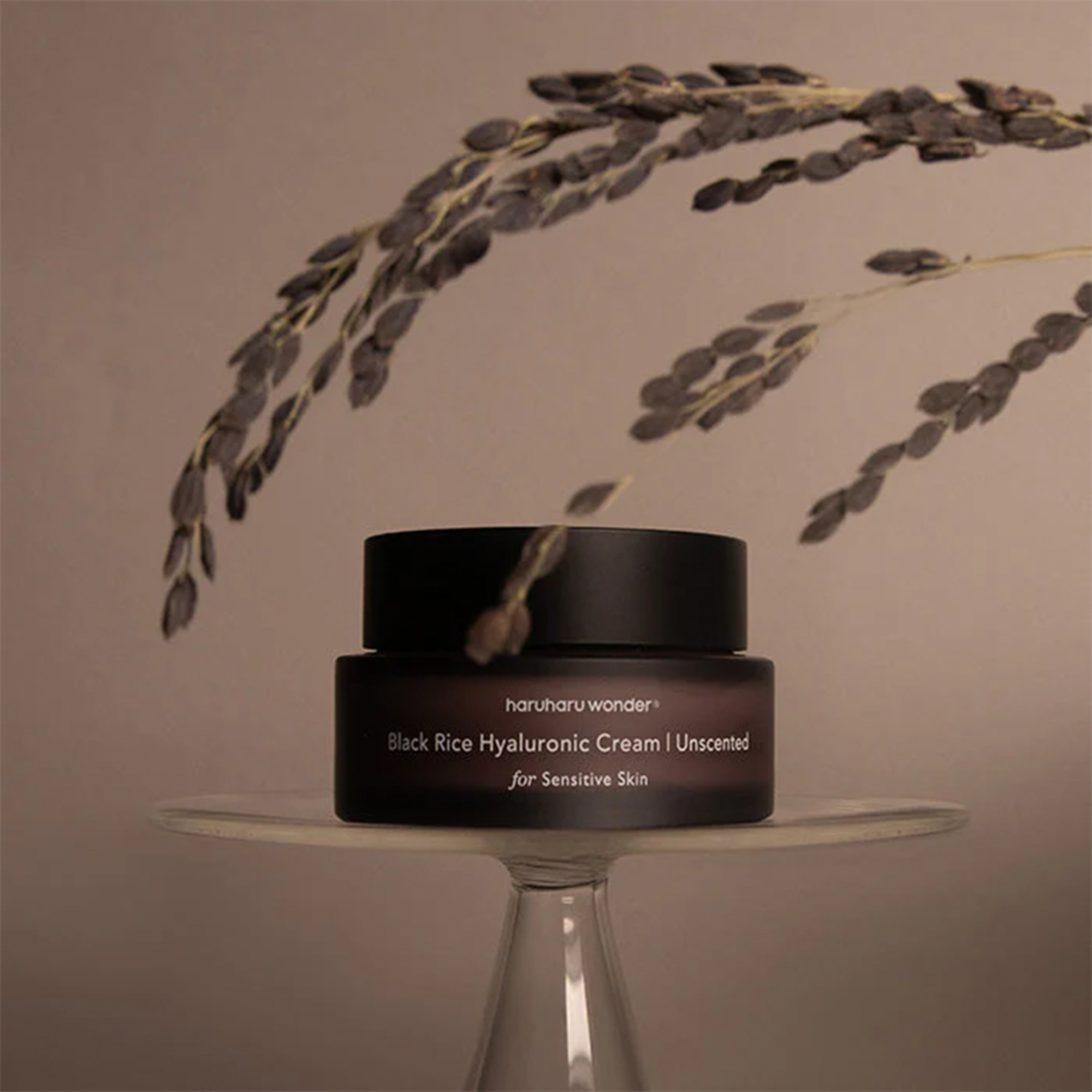 HaruHaru Wonder Black Rice 10 Hyaluronic Cream Unscented 50ml