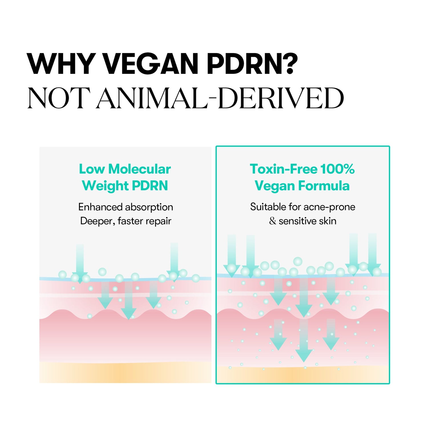 VT Cosmetics PDRN CAPSULE CREAM 100