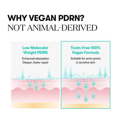 VT Cosmetics PDRN CAPSULE CREAM 100