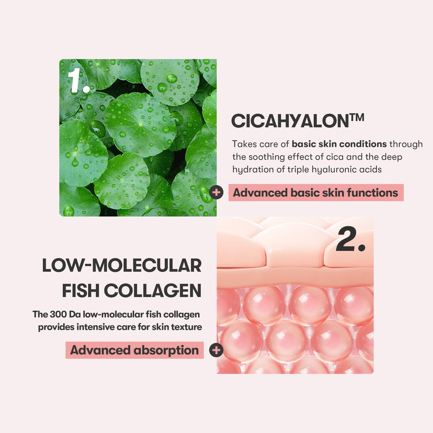 VT Cosmetics Cica Collagen Eyecream