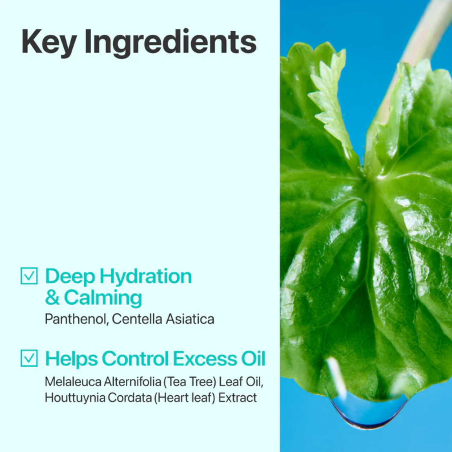 Numbuzin No.1 Centella Re-Leaf Green Toner Pads