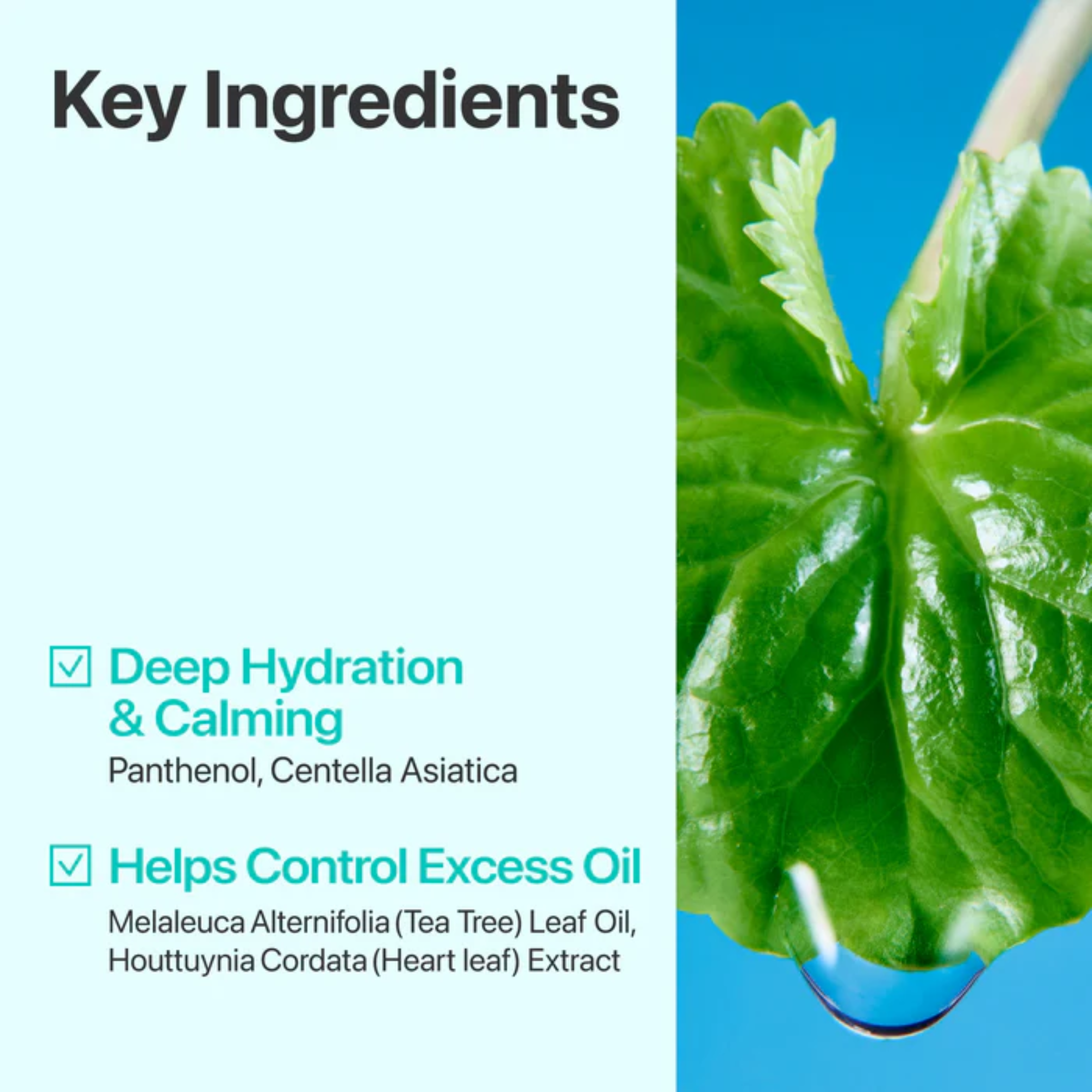 Numbuzin No.1 Centella Re-Leaf Green Toner Pads