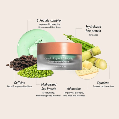 Haruharu Wonder Centella Phyto 5 Peptide Concentrate Cream 30ml Refill