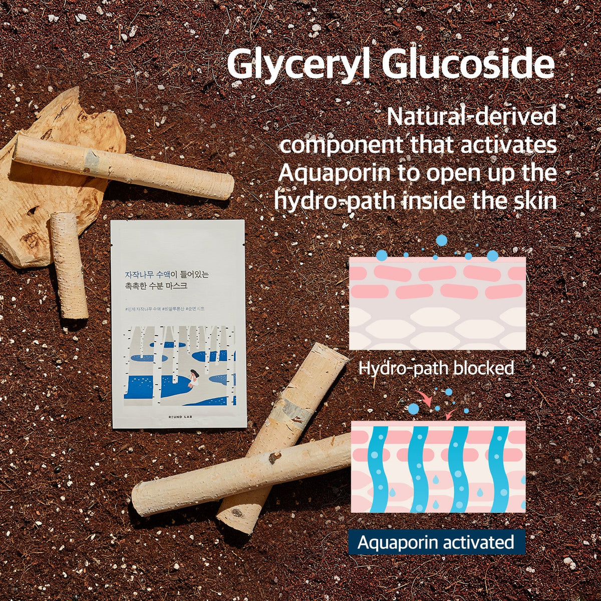 Round Lab Birch Juice Mask 10 Stück – Infografik zur Feuchtigkeitswirkung von Glycerylglucosid