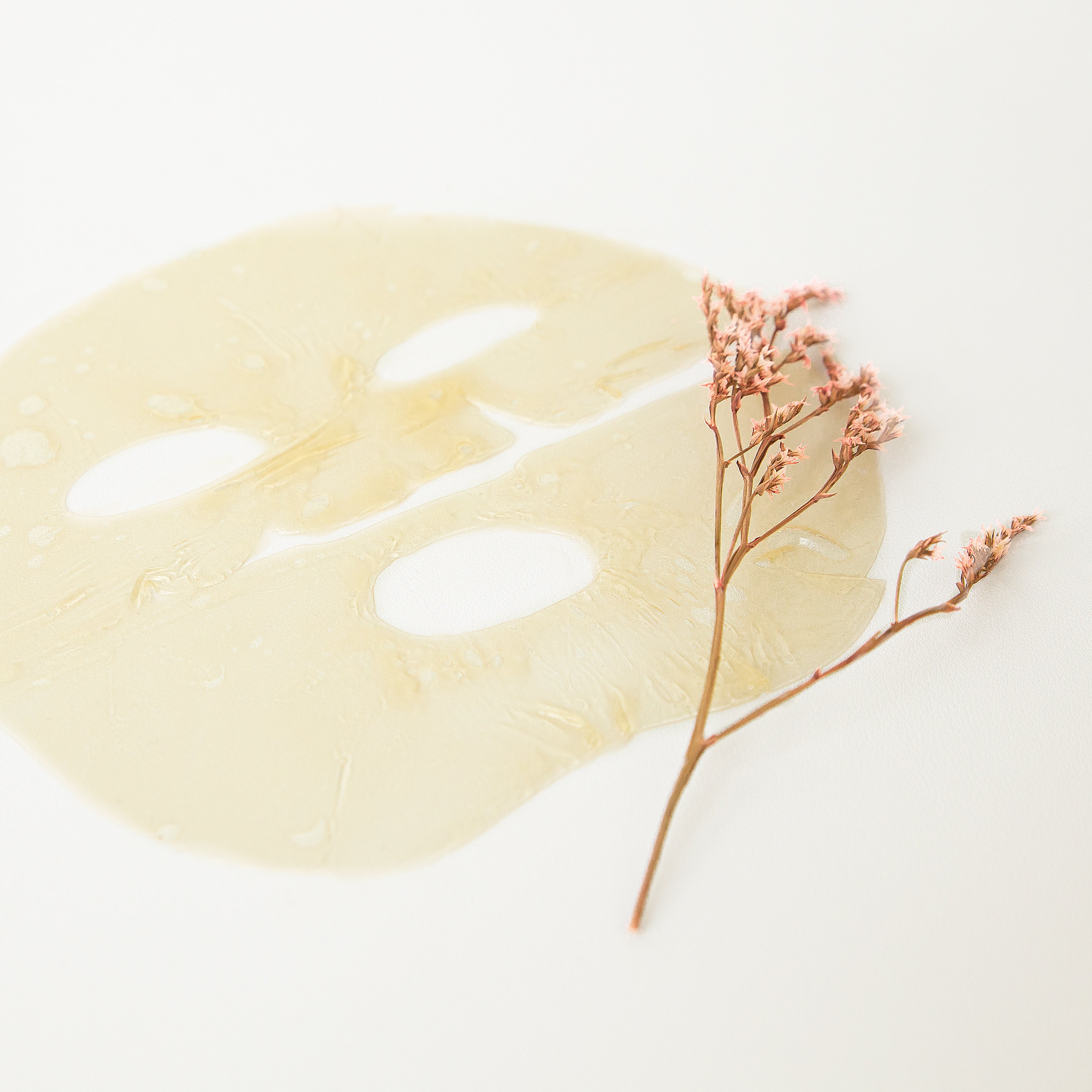 WHAMISA Organic Flowers Hydrogel Facial Mask Set (5 Stck)